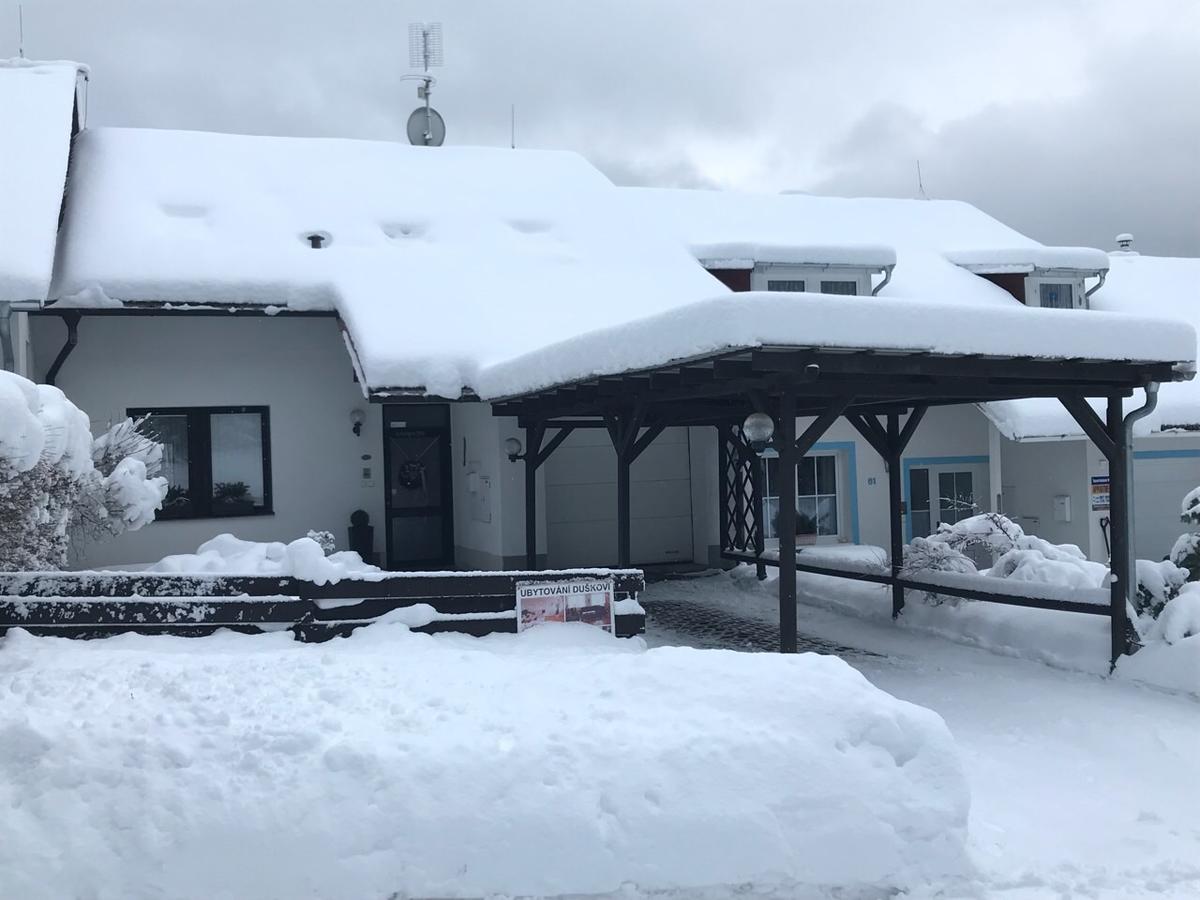 Ubytovani Duskovi Villa Lipno nad Vltavou Exterior photo